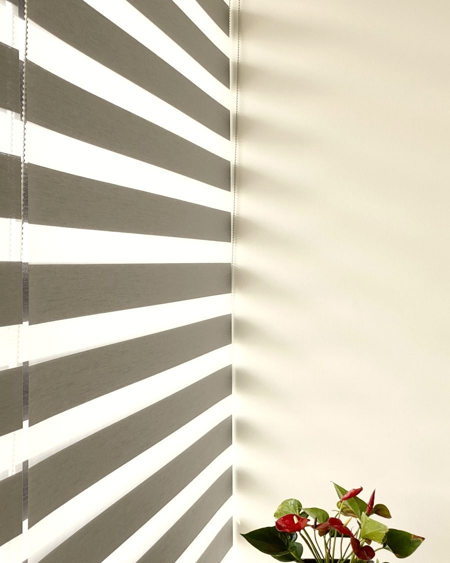Zebra Blinds