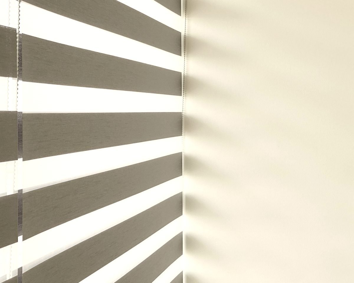 Classic Zebra Blinds