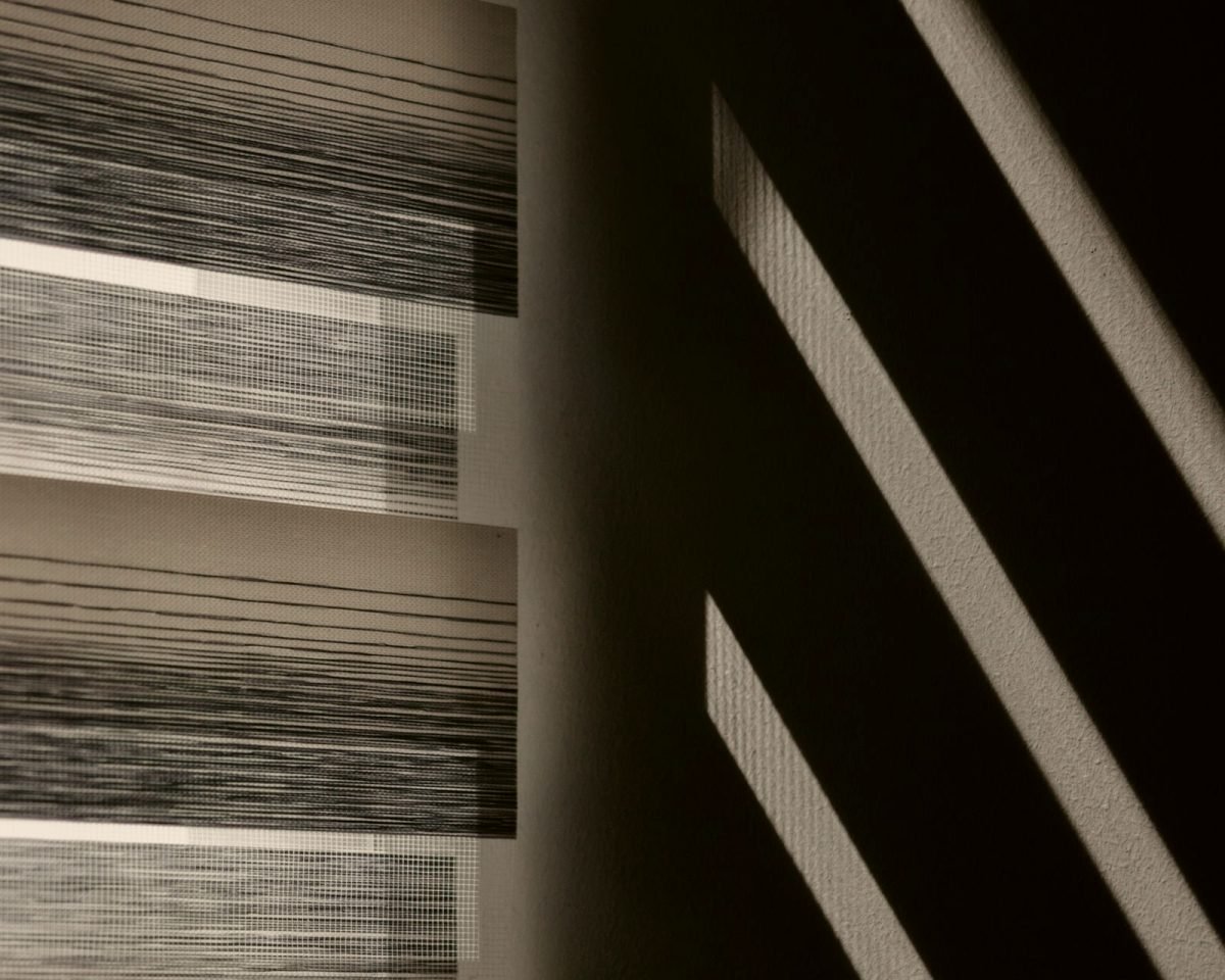 Halo Dual-Vision Zebra